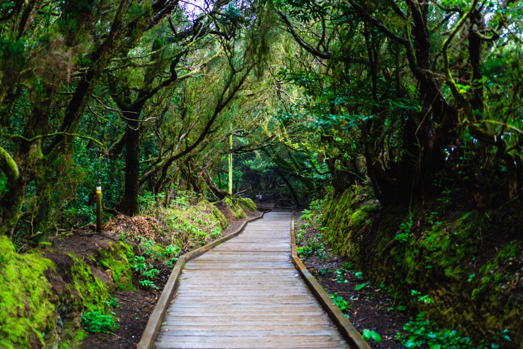 Parque Rural de Anaga