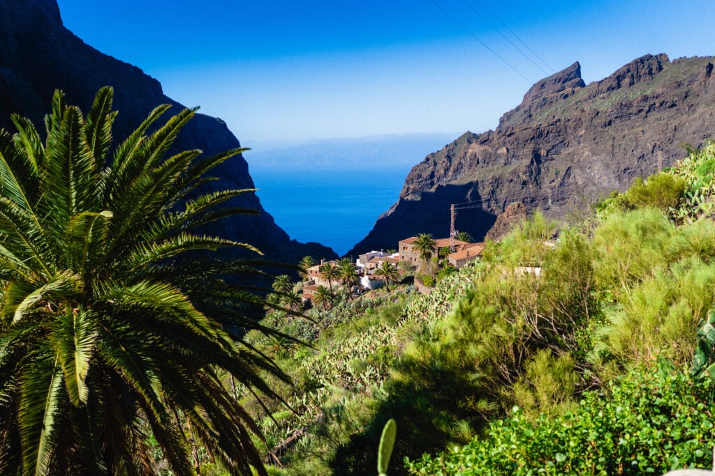 masca